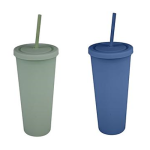 Tumbler with Straw, Double Wall, 650ml